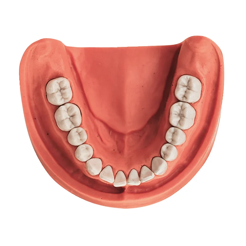 denta-tec-120260712130740964286