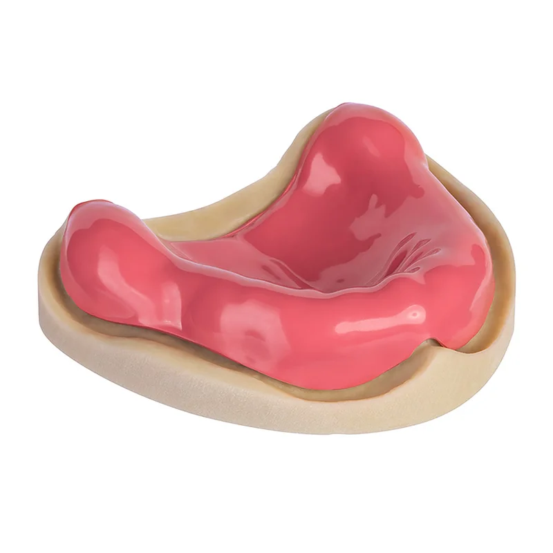 denta-tec-120260712144346974657
