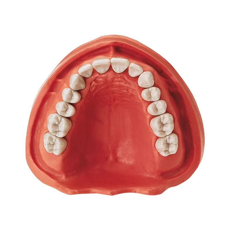 denta-tec-120260712153233979625
