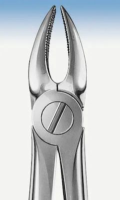 denta-tec-120260712185651999754