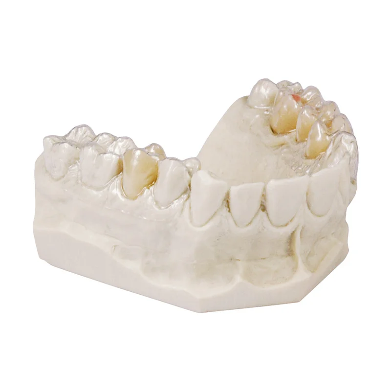 denta-tec-1202607122108461014232