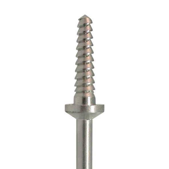 denta-tec-1202607122155571019328