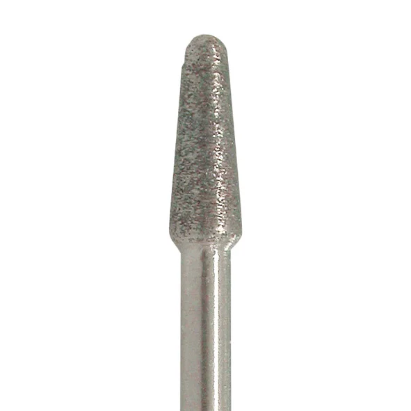 denta-tec-1202607122241171024594
