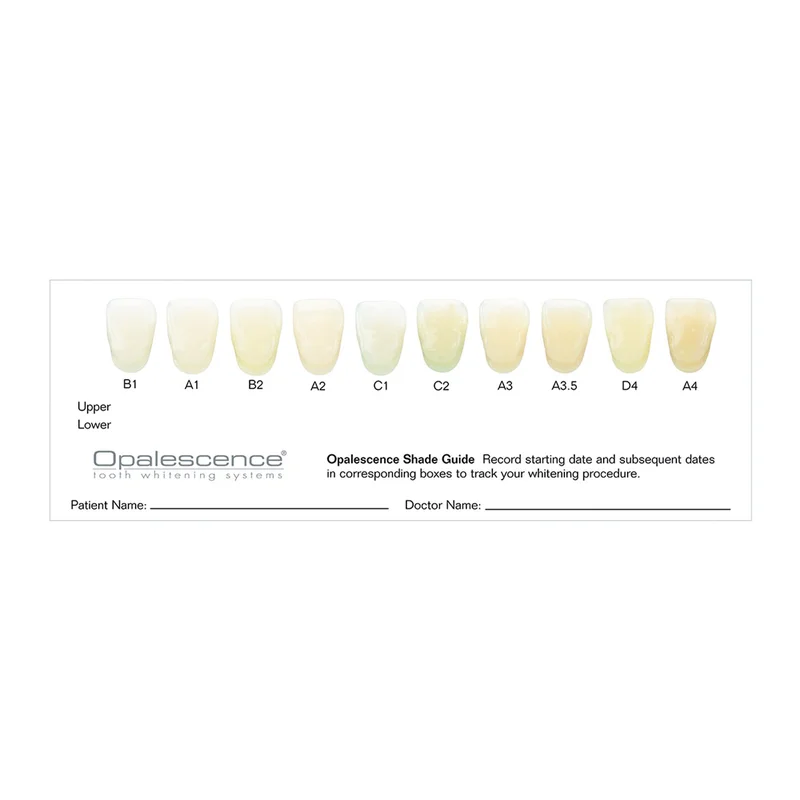 denta-tec-1202607122242151024700