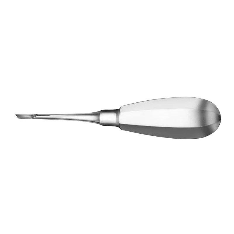 denta-tec-1202607122354551032827