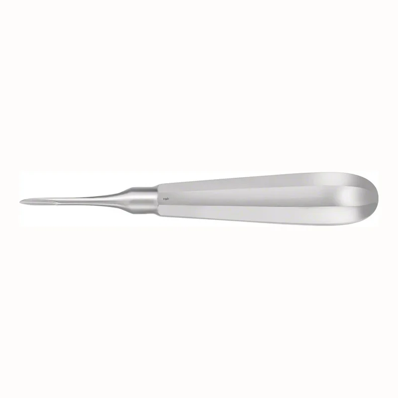 denta-tec-1202607130042041037376