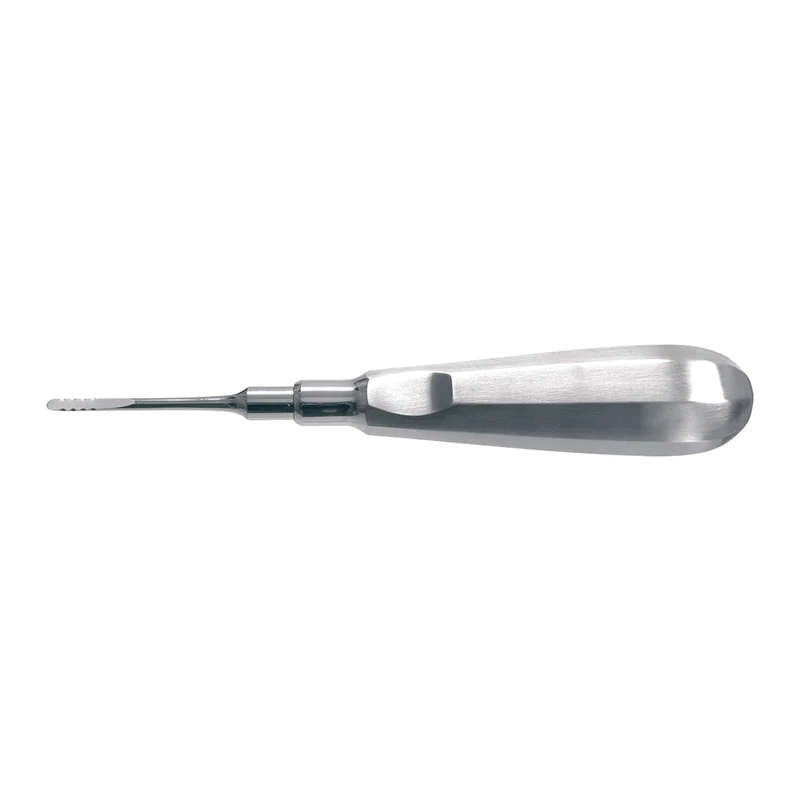 denta-tec-1202607130101571039263