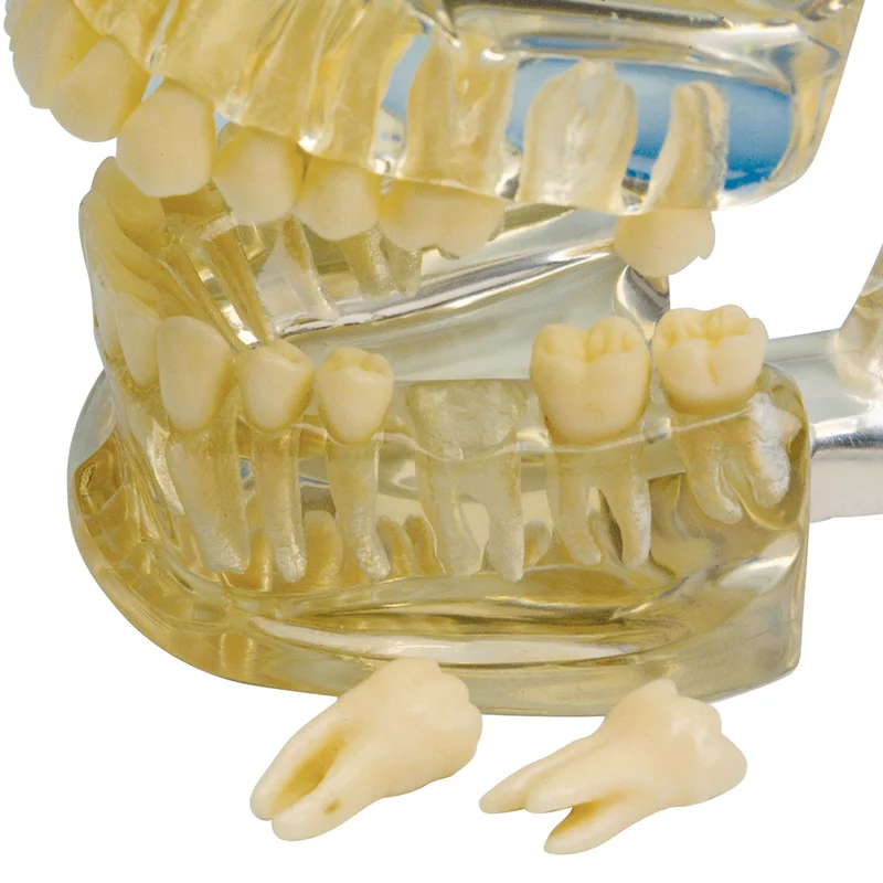 denta-tec-1202607130106161039704