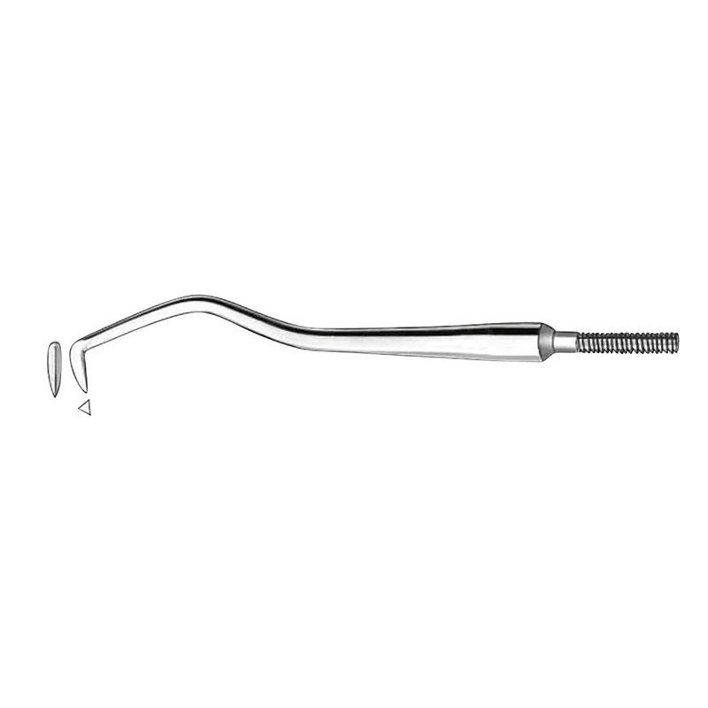 denta-tec-1202607130214141045505