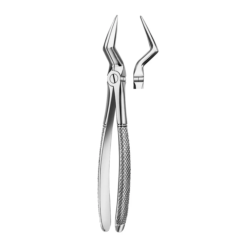 denta-tec-1202607130219331045875