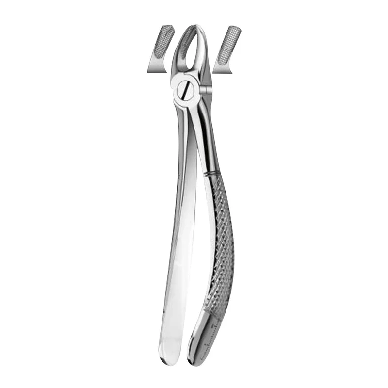 denta-tec-1202607130220251045938
