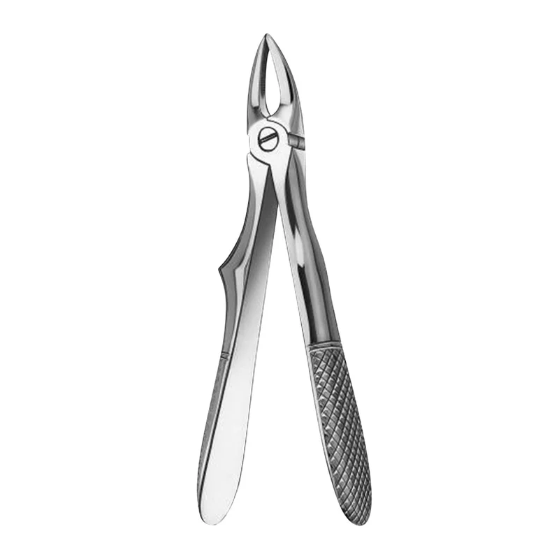 denta-tec-1202607130221051045984