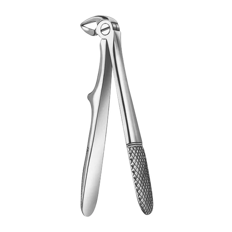 denta-tec-1202607130221061045985