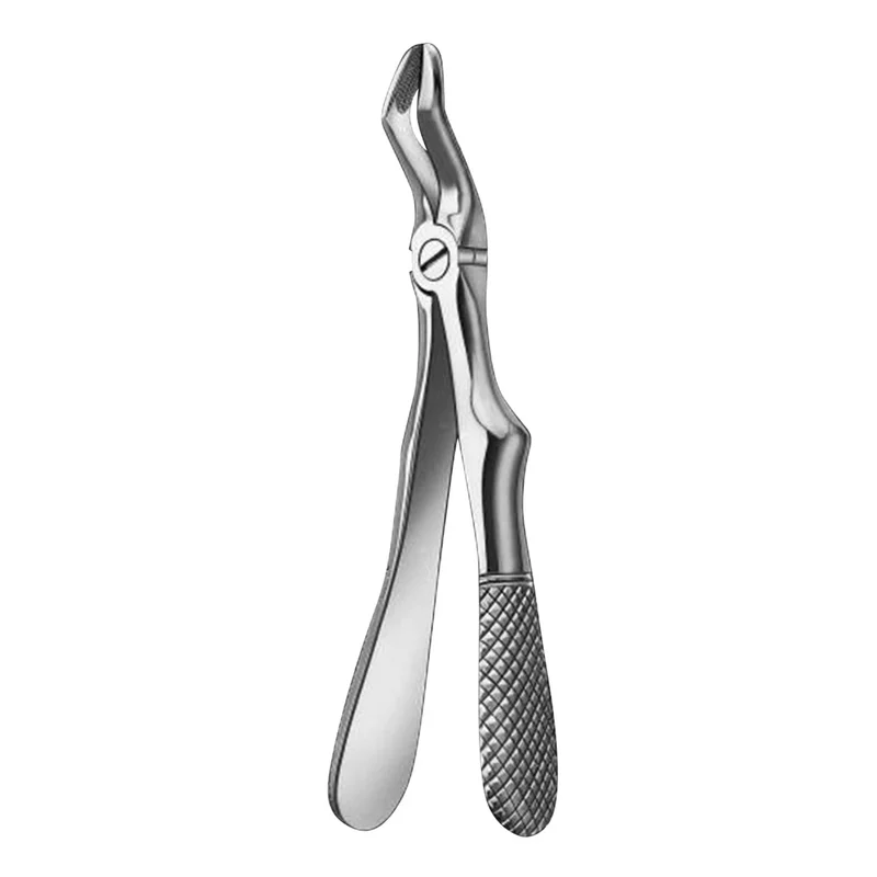 denta-tec-1202607130221451046021