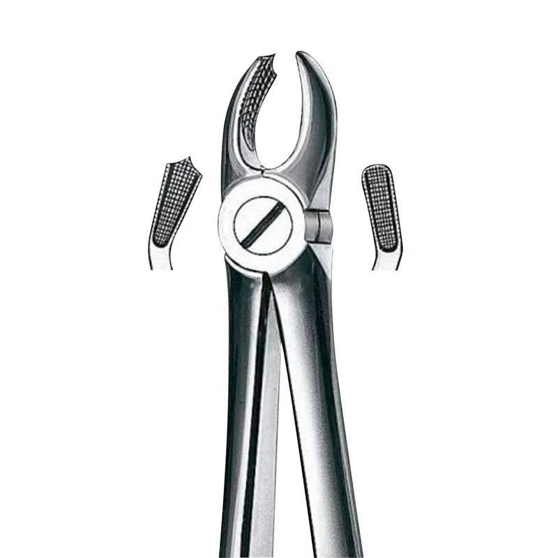 denta-tec-1202607130230271046600