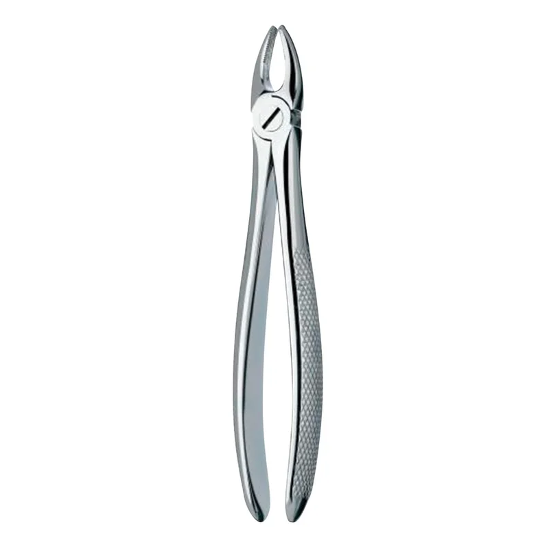 denta-tec-1202607130231571046701