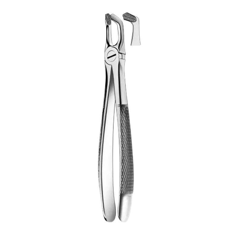 denta-tec-1202607130233251046806