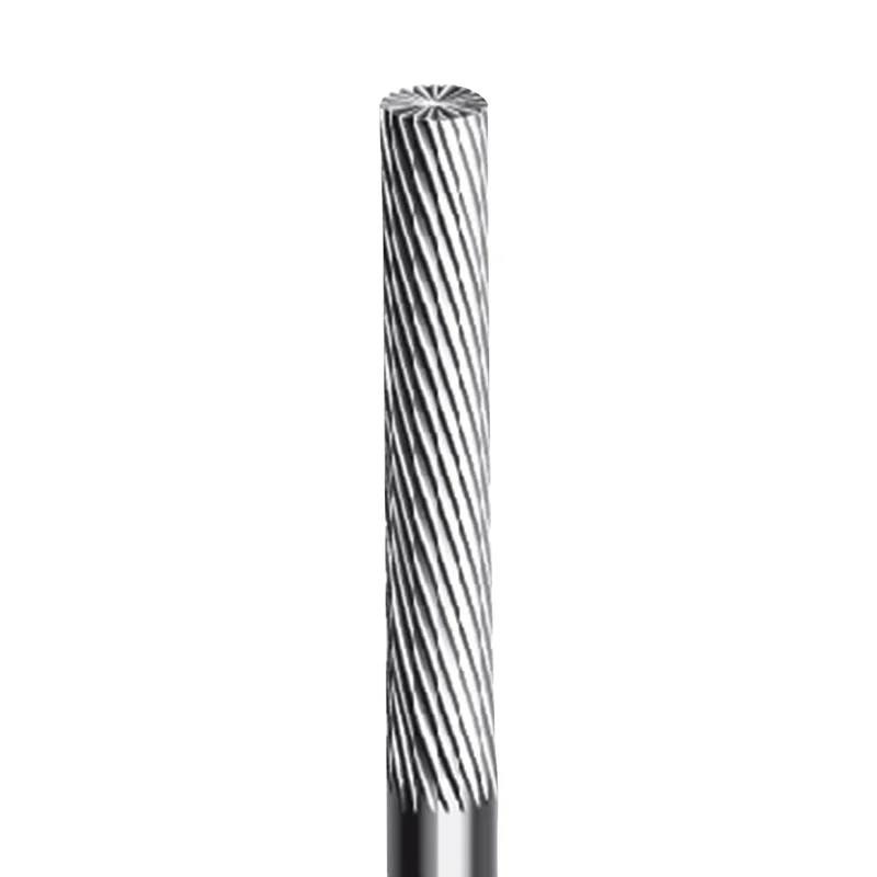 denta-tec-1202607130243001047543