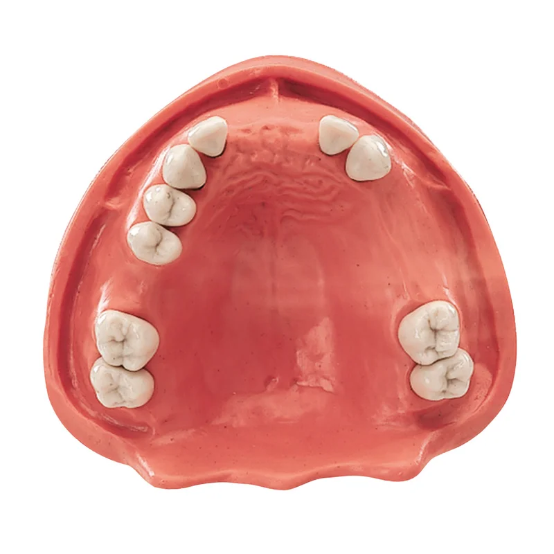 denta-tec-220260710201256679772
