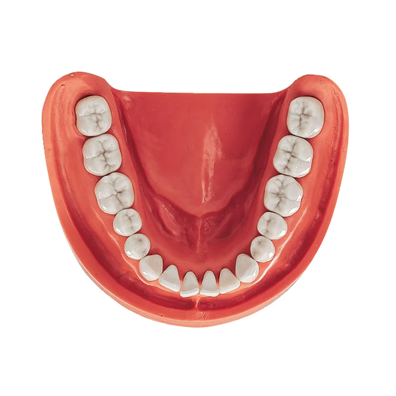 denta-tec-220260710201310679821