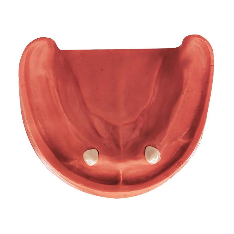 denta-tec-220260710201322679858