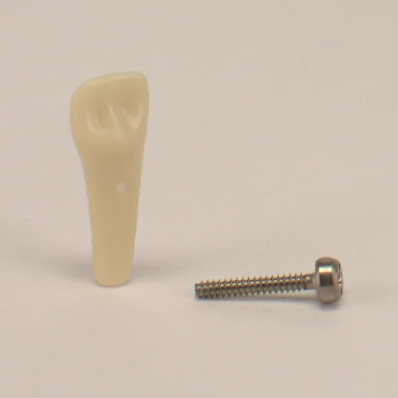 denta-tec-220260710213522694127