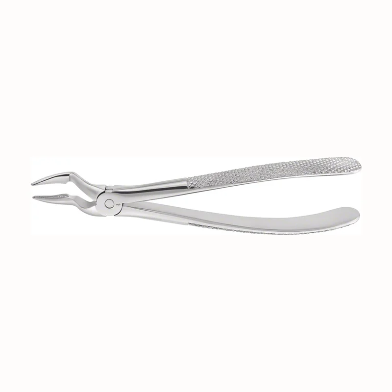 denta-tec-220260710221315700670