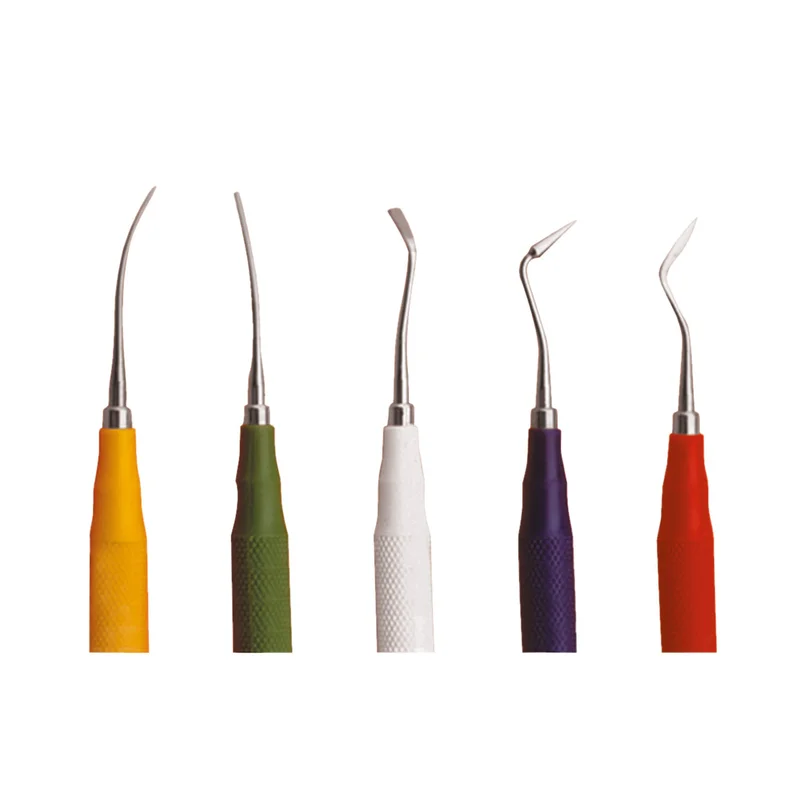 denta-tec-220260710230644710251