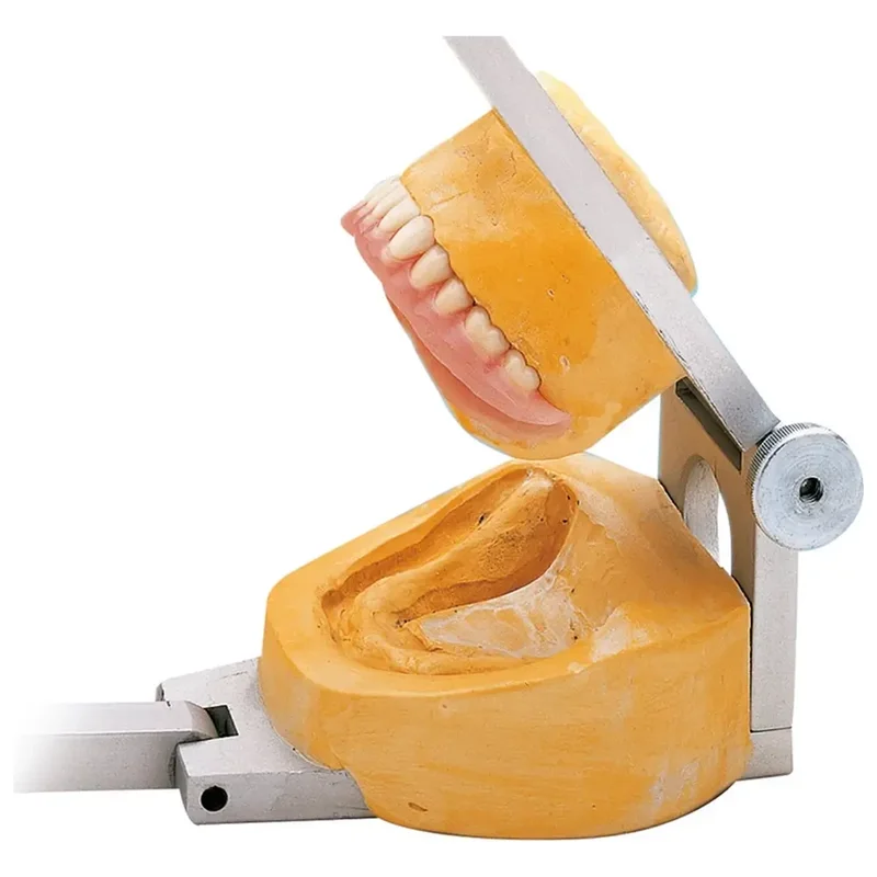 denta-tec-220260711005215728152