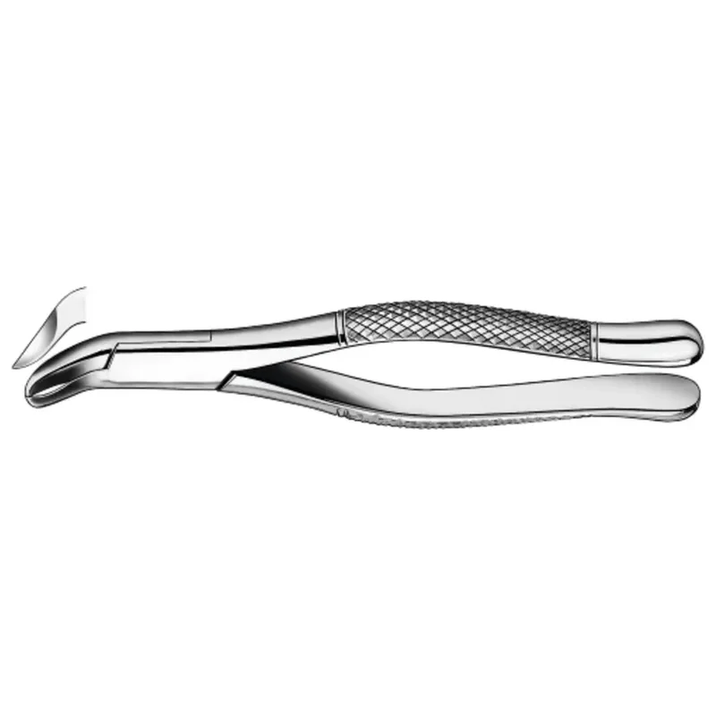 denta-tec-220260711005615728859