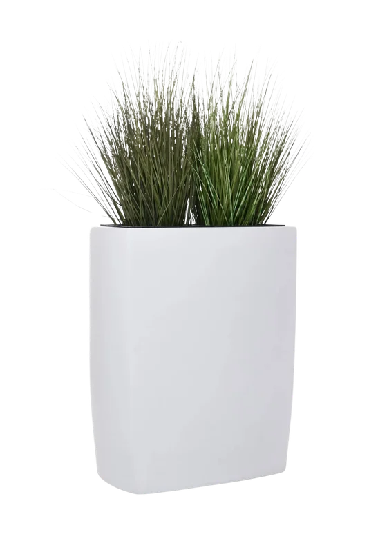 denta-tec-220260711015208738353