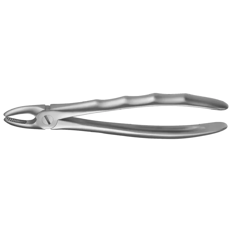 denta-tec-220260711020211739827