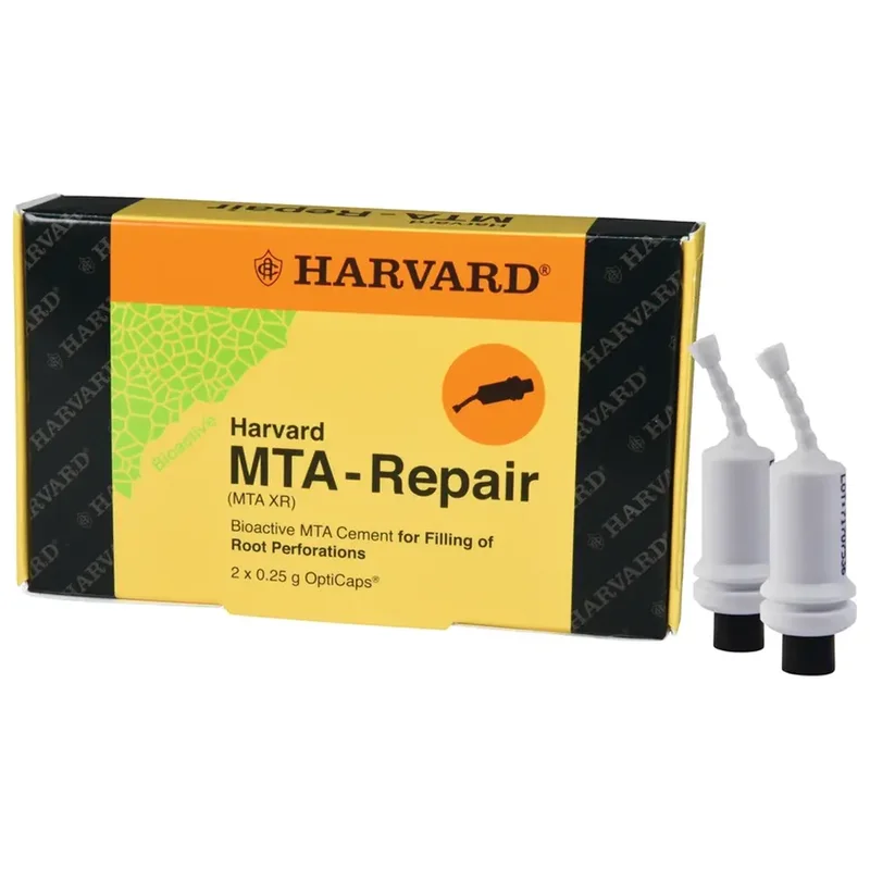 denta-tec-220260711020452740224