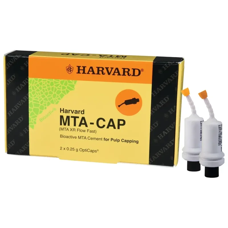 denta-tec-220260711020456740233