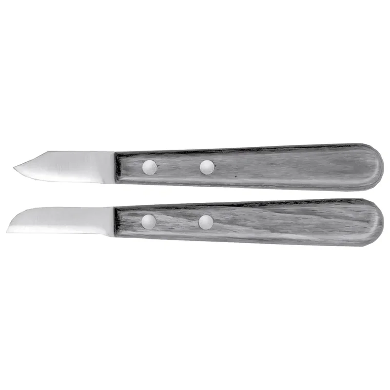 denta-tec-220260711024101745554