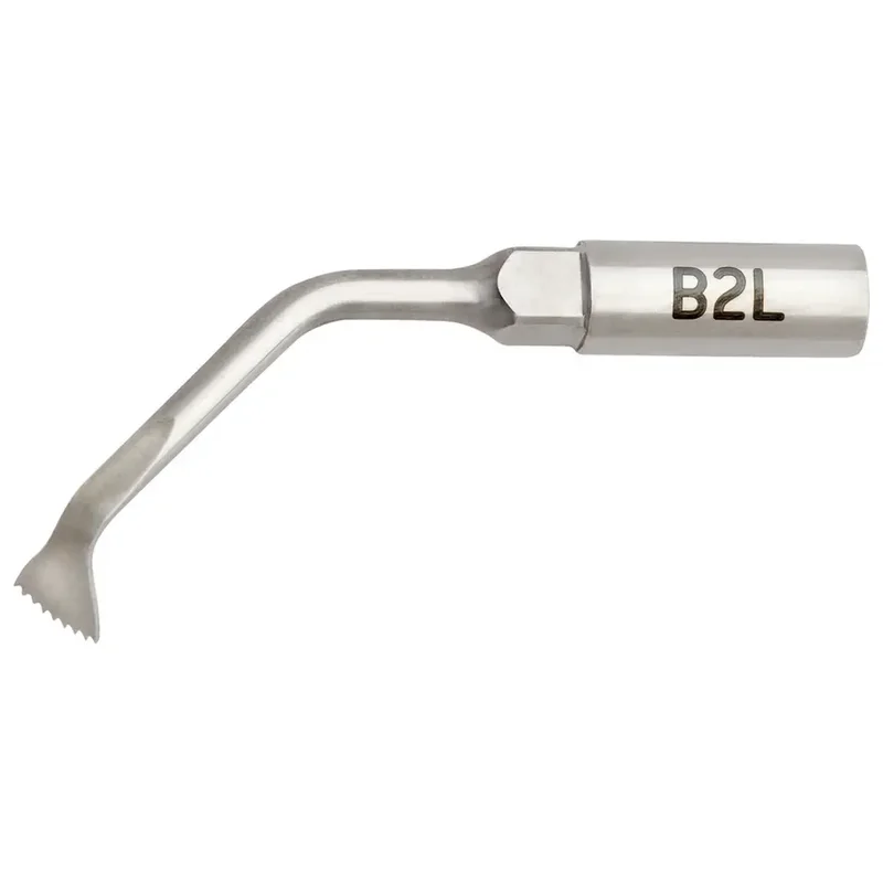 denta-tec-220260711032349748826