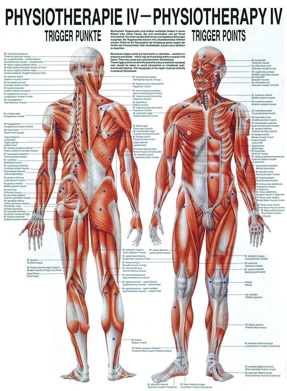doccheckshop20260710163923636455