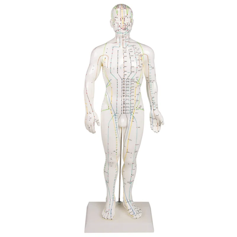 doccheckshop20260710165006637548