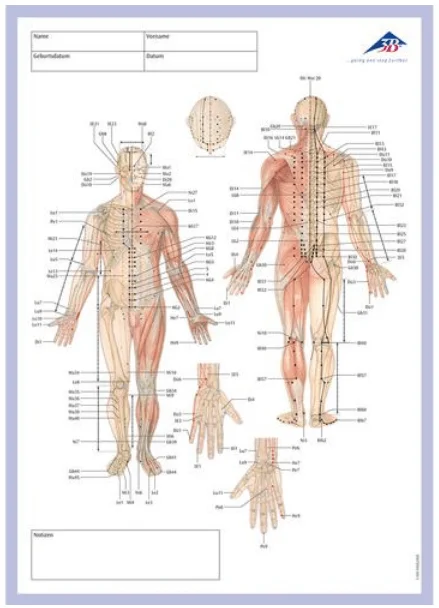 doccheckshop20260710173600645808