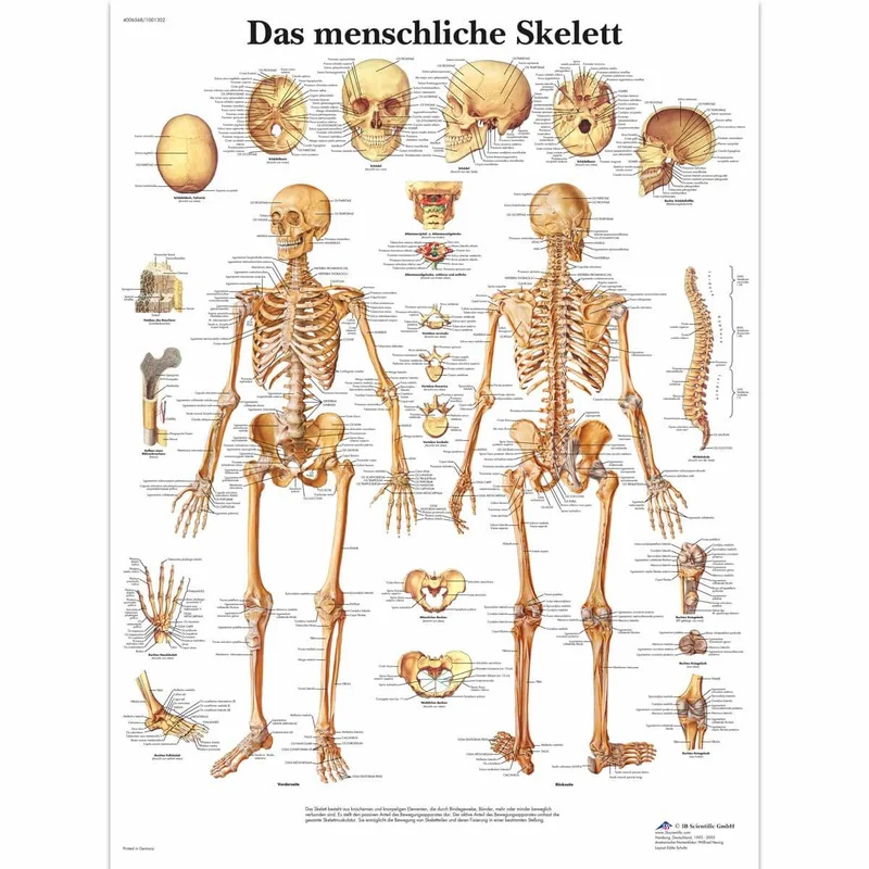 doccheckshop20260710175057649090
