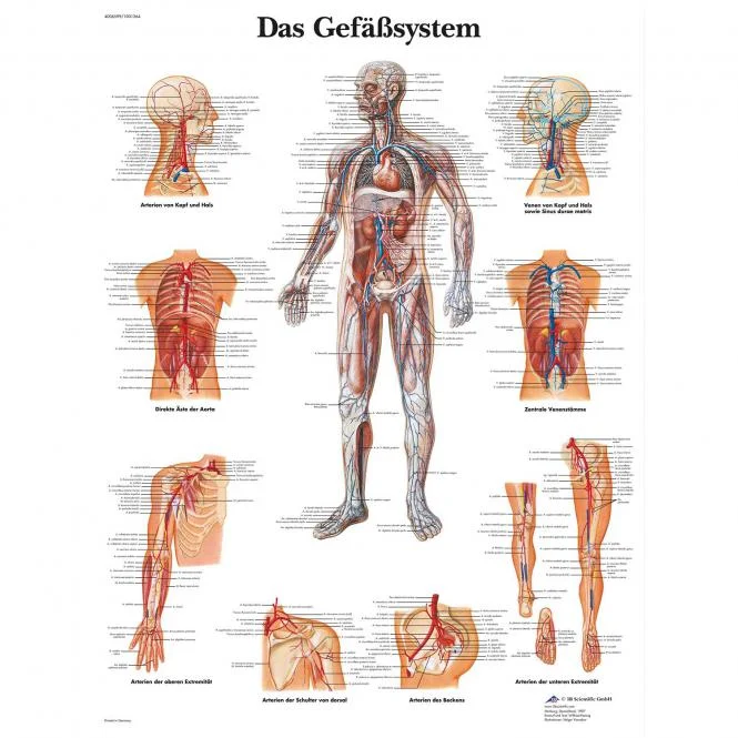 doccheckshop20260710175854650795