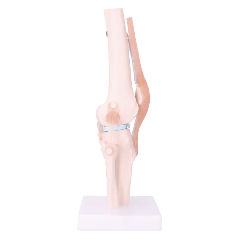 doccheckshop20260710180821652949