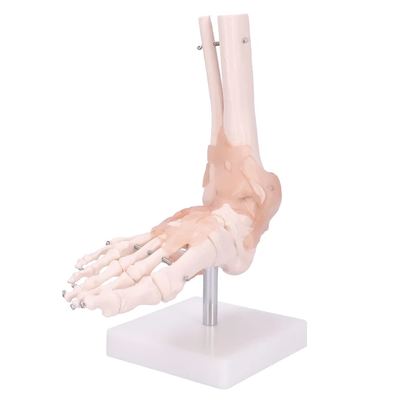 doccheckshop20260710180824652960
