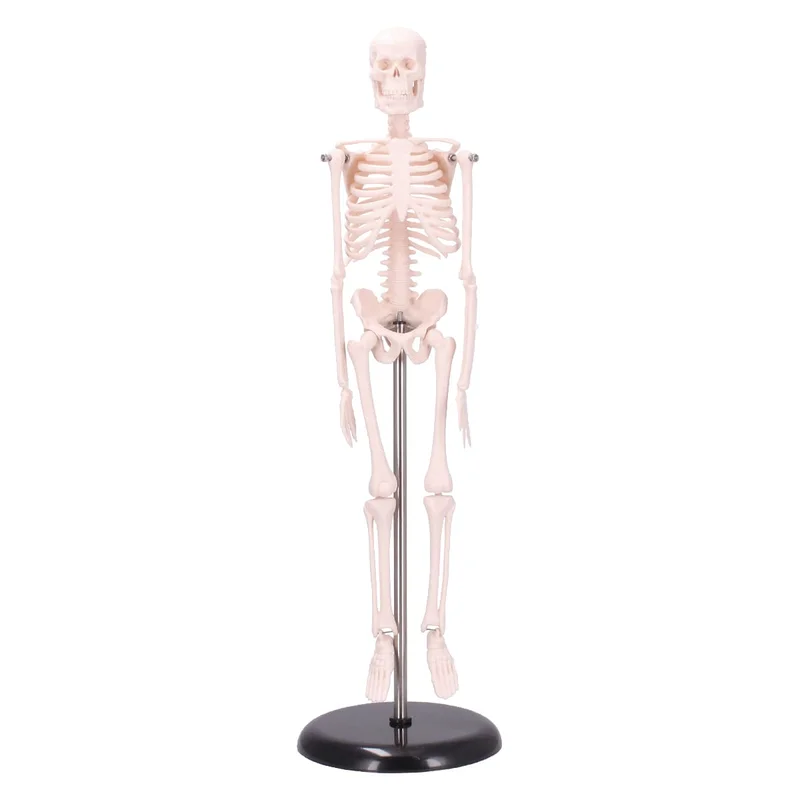 doccheckshop20260710180841653028