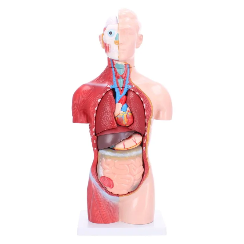 doccheckshop20260710180847653049