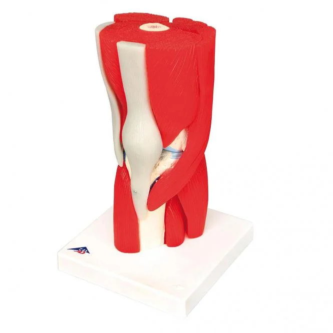 doccheckshop20260710181033653459