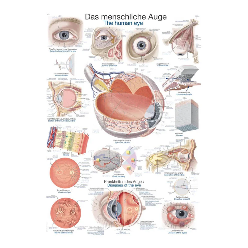 doccheckshop20260710181722654998