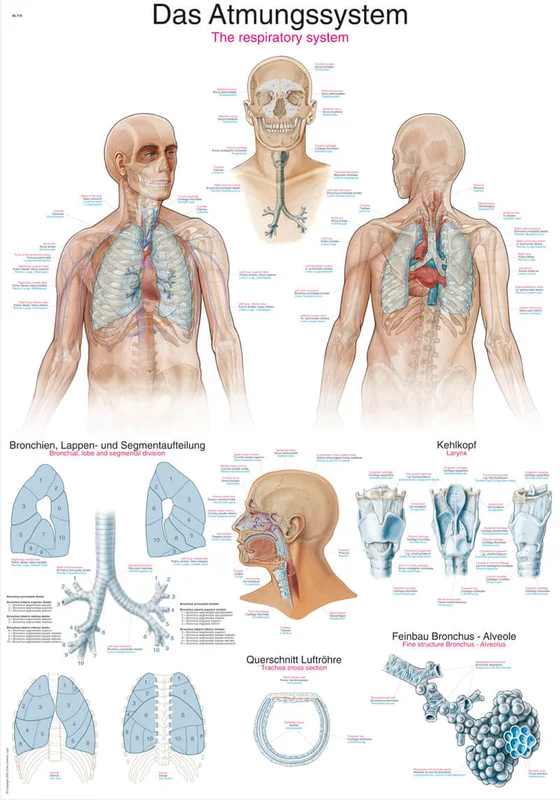 doccheckshop20260710181732655036