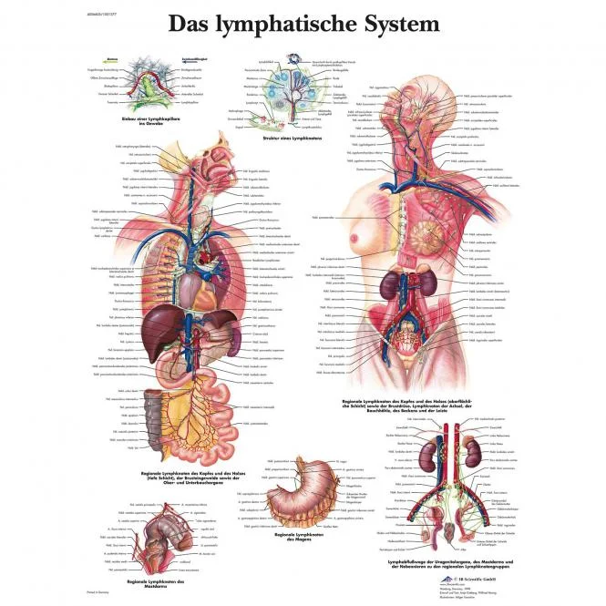 doccheckshop20260710181751655112