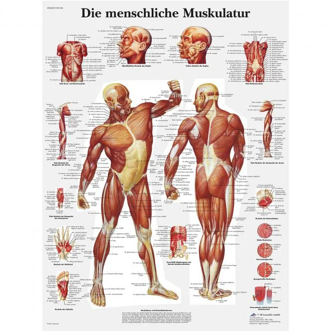 doccheckshop20260710181801655147